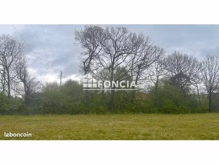 buzet sur tarn - terrain d'exception divisible - environ 3000 m2