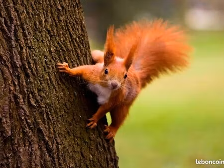 terrain 550 m² herblay sur seine