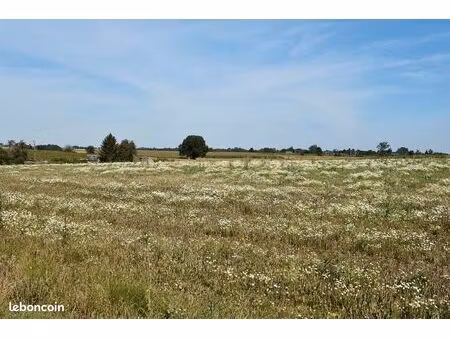 terrain 650 m² grand camp