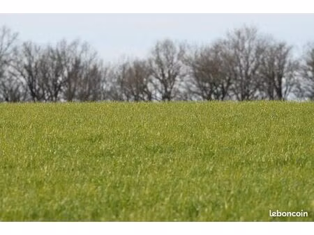 recherche pâture secteur saint hellier