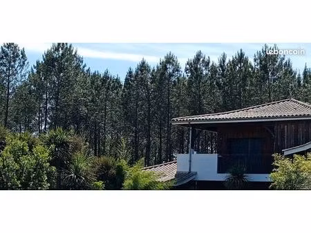 appartement 3 pièces