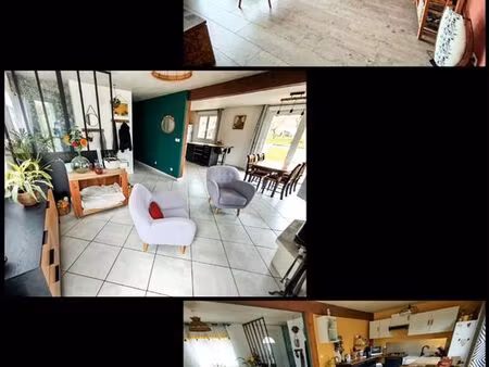 maison  logement saisonnier et grand terrain