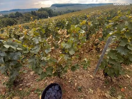 location vallée de la marne