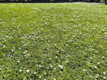 terrain à construire