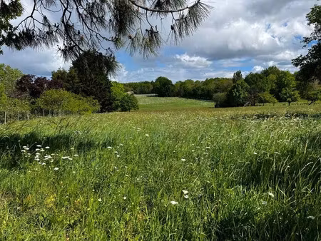 vente terrain 1378 m² à montendre (17130)  25 000 €