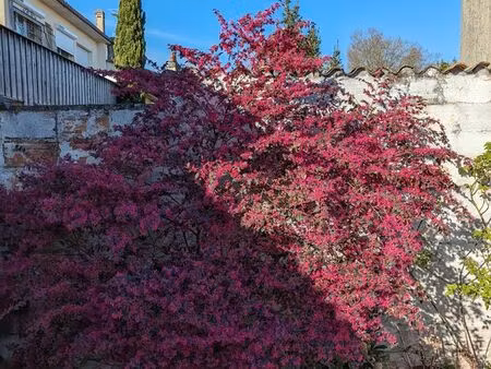 maison quartier saint augustin