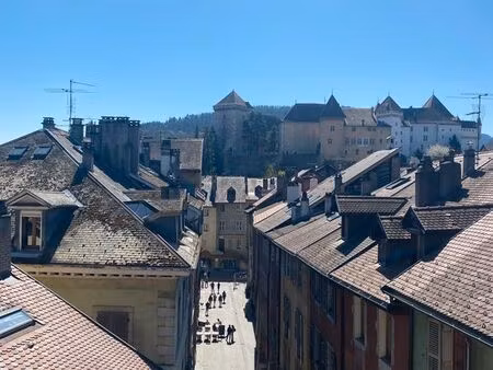 appartement sous les toits atypique et ensoleillé