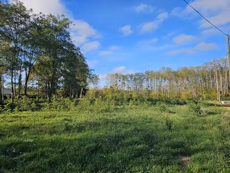 vente terrain à construire 487 m² castres-gironde (33640)
