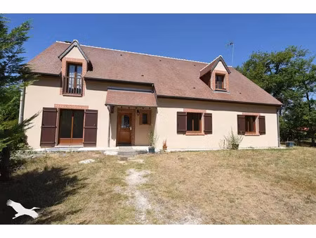 vente maison 5 pièces 262 m² soings-en-sologne (41230)