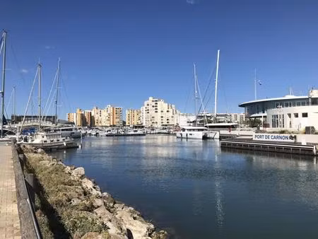 carnon plage grand appartement dédoublé en rez de jardin traversant en viager occupé sur l