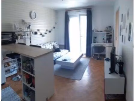 loue t1 bis avec belle terrasse au calme