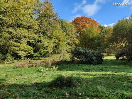 terrain isolé dans les bois avec cabanon autonome