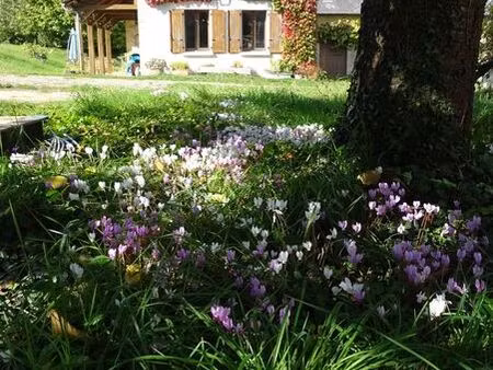 2 habitations  grandes dépendances  5000m2 terrain