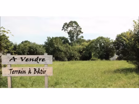 vente terrain à batir 8264 m² à salaunes (33160)  nan €