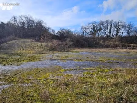 terrain 9655 m² brux