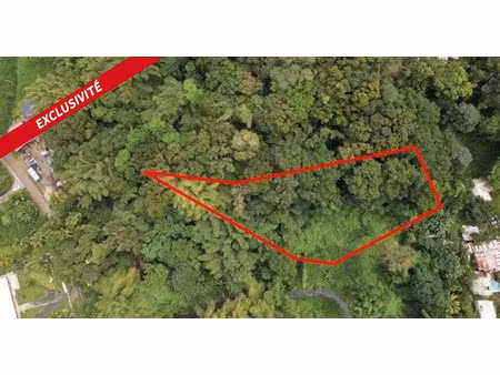 vente terrain 4470 m² à la trinite (97220)  200 000 €