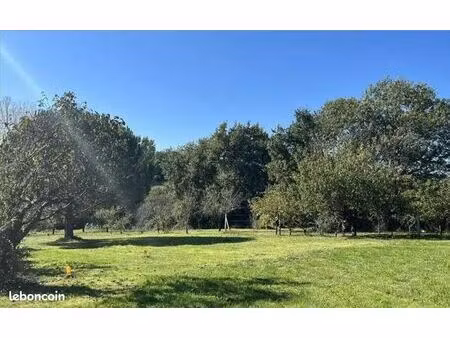 forêt 788 m² leguevin