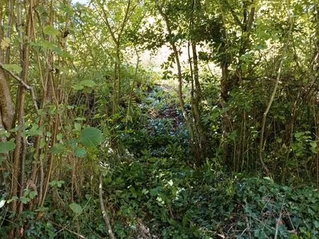 terrain de loisirs  jardin