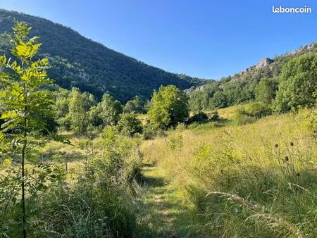 terrain naturel pour accueil d'animaux - cadre exceptionnel dans un écolieu