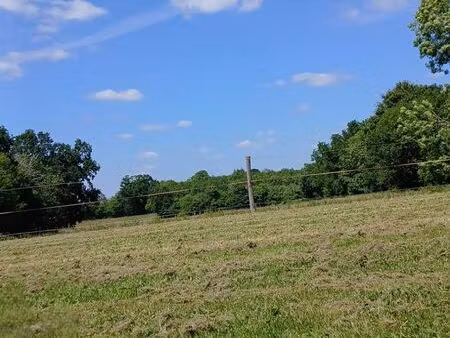 location terrain pour chevaux