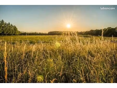 terrain pour apiculteur
