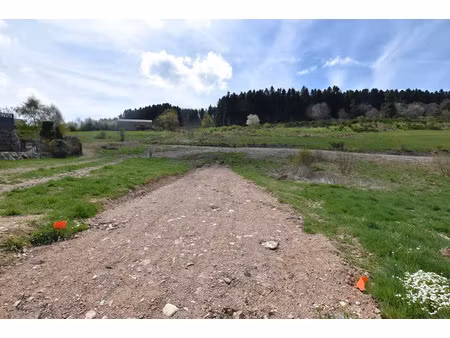 vente terrain 1074 m² dunières (43220)