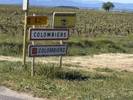 maison à vendre colombiers