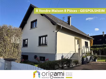 spacieuse maison individuelle à geispolsheim