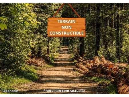 terrain 8 511 m² bussac foret