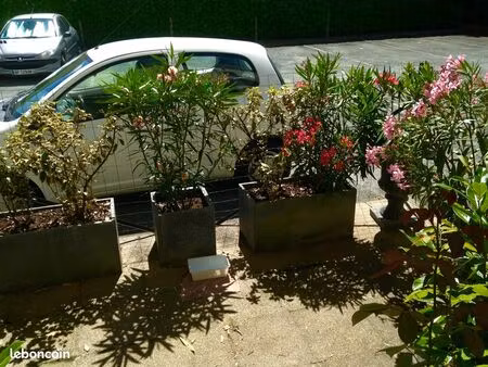 location d'un t2 à buxerolles 86180