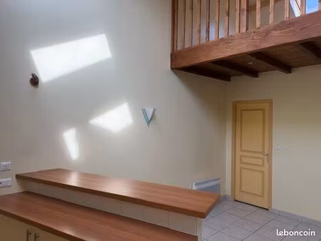 appartement loft 60 m²  vertou centre