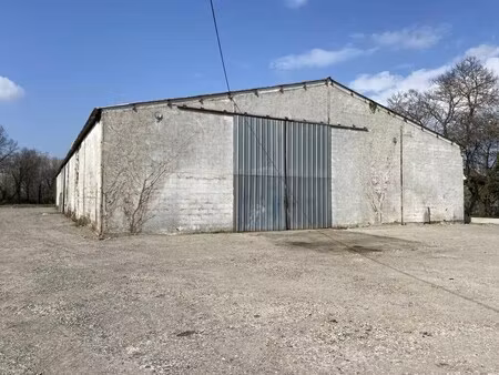 vente entrepôt 1 000 m²