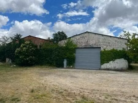 vente local d’activités saint loubes 33450 300m²