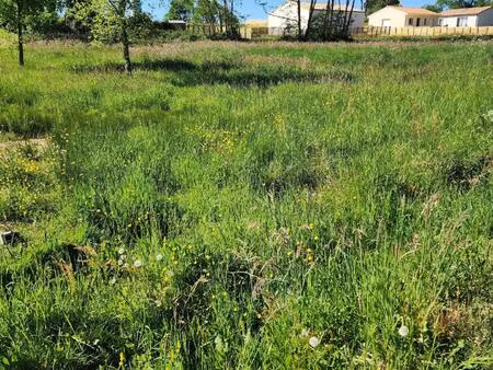 vente terrain 985 m² montguyon (17270)