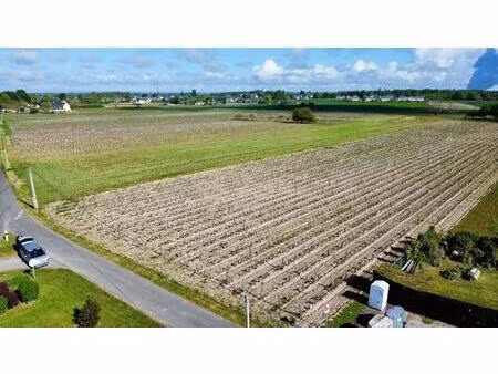 vente terrain 33000 m² savigny-en-véron (37420)
