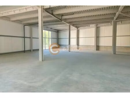 location commerce 245 m²