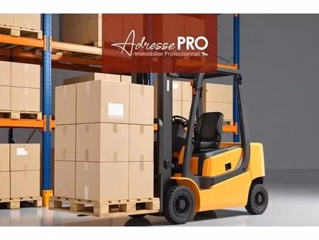 location commerce 75 m²