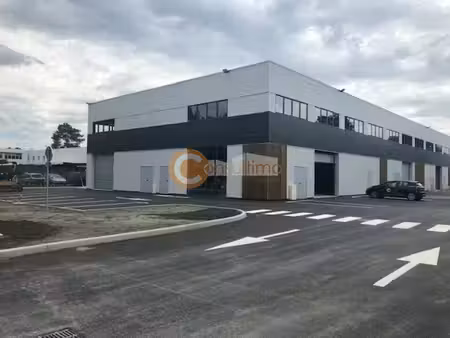 location local d’activités gradignan 33170 300m²