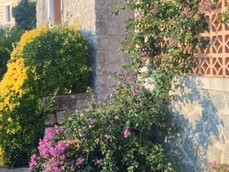 villa à louer petreto bicchisano 3 chambres