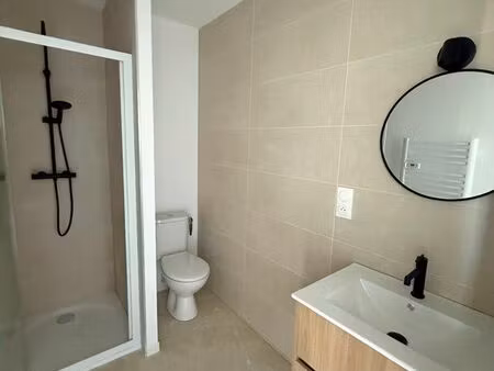 appartement entièrement rénové centre ville