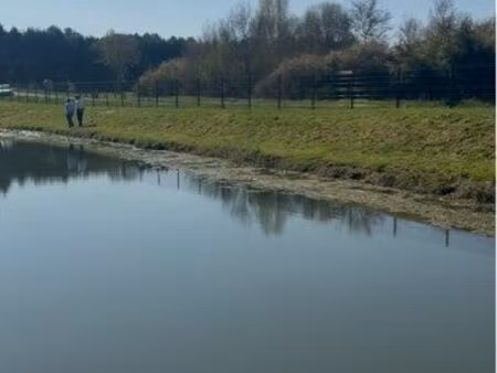 grand terrain nature avec étang – calme absolu – camping-cars bienvenus”