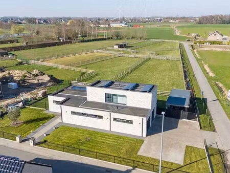 maison à vendre à moerzeke € 999.000 (lnehc) - heylen vastgoed - dendermonde | zimmo