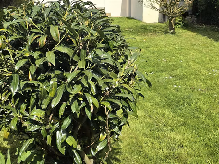 superbe maison a labuissiere