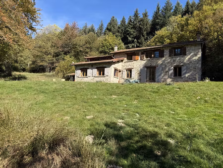 maison en pierres avec vue et terrain