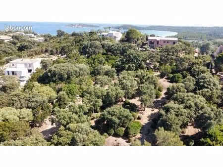 terrain non constructible pinarello 1500m2