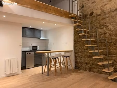 studio 44m2 refait à neuf centre ville