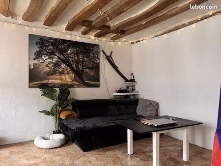 studio 1 pièce 20 m²