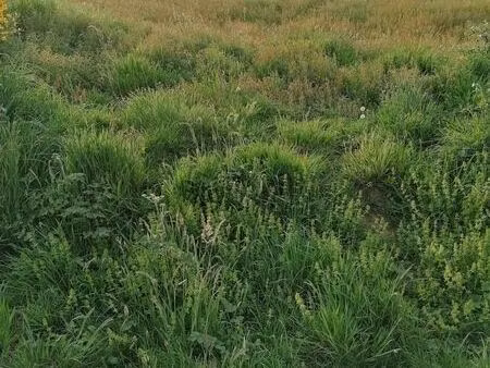 terrain 433 m² crach