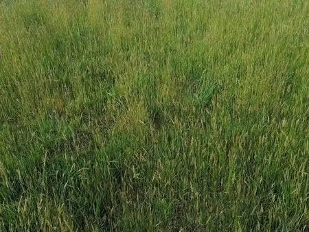 terrain 503 m² crach