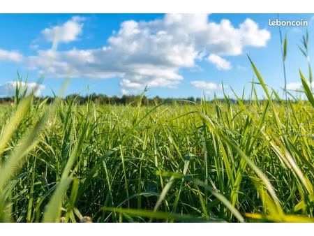 terrain 530 m² lanrelas